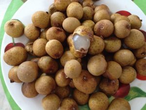 longan3